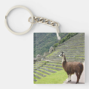 Porte-clés lamas