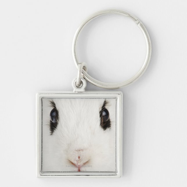 Porte-clés Lapin anglais (cuniculus d'Oryctolagus) (Devant)