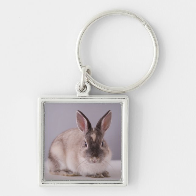 Porte-clés lapin, arrière - plan simple, animal, table (Devant)