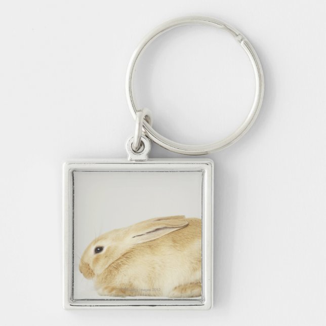 Porte-clés Lapin beige sur l'arrière - plan blanc 4 (Devant)