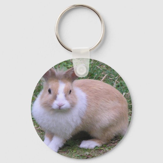 Porte-clés lapin doux (Recto)