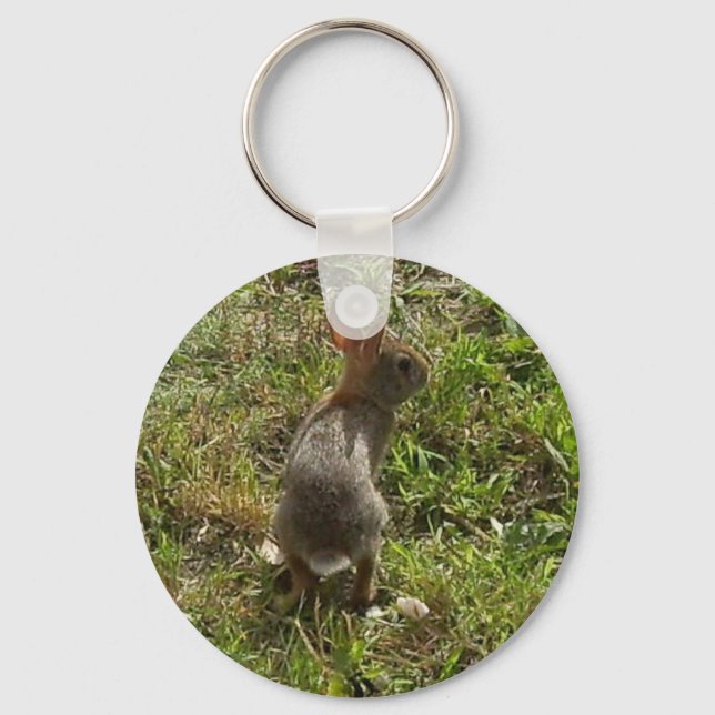 Porte-clés Lapin Lapin Lièvre Stups (Recto)