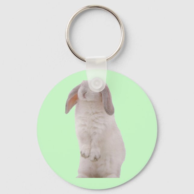 Porte-clés Lapin Mignon Kawaii (Recto)