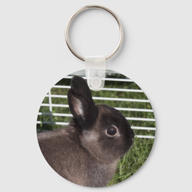Porte-clés Lapin noir mignon sur herbe verte (Recto)