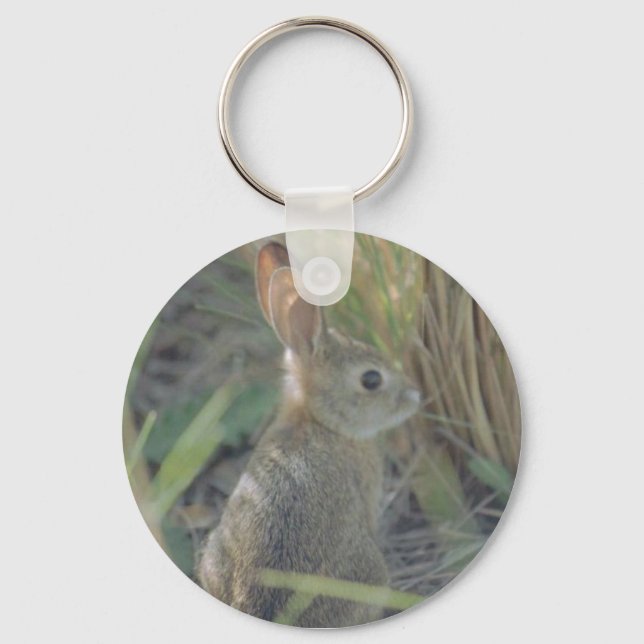 Porte-clés Lapin sauvage (Recto)