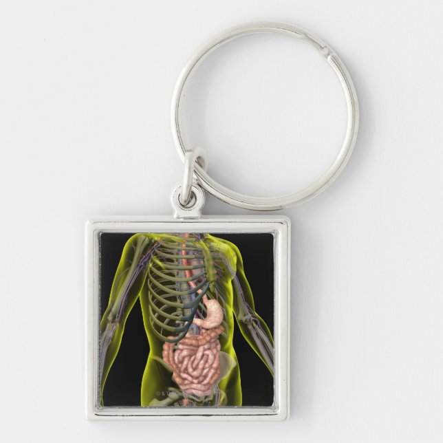Porte-clés L'appareil digestif (Devant)