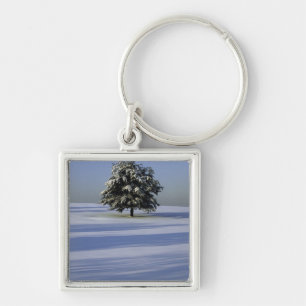 Porte-clés L'arbre dans la neige a couvert le paysage