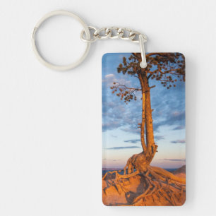 Porte-clés L'arbre s'accroche au rebord, parc national de