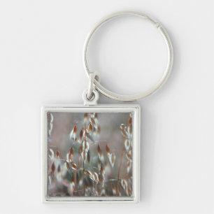 Porte-clés L'avoine mûre (Avena Sativa) Ferme. Ceres, Boland