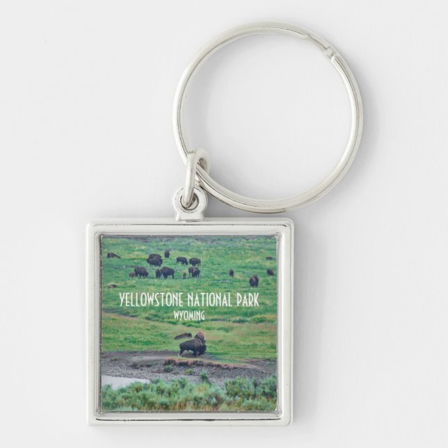 Porte-clés Le bison américain (Devant)