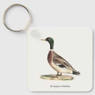 Porte-clés Le canard colvert ou sauvage (Anas platyrhynchos)