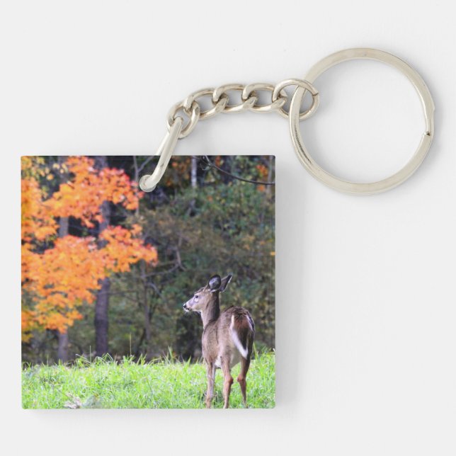 Porte-clés Le cerf sur le terrain (Dos)