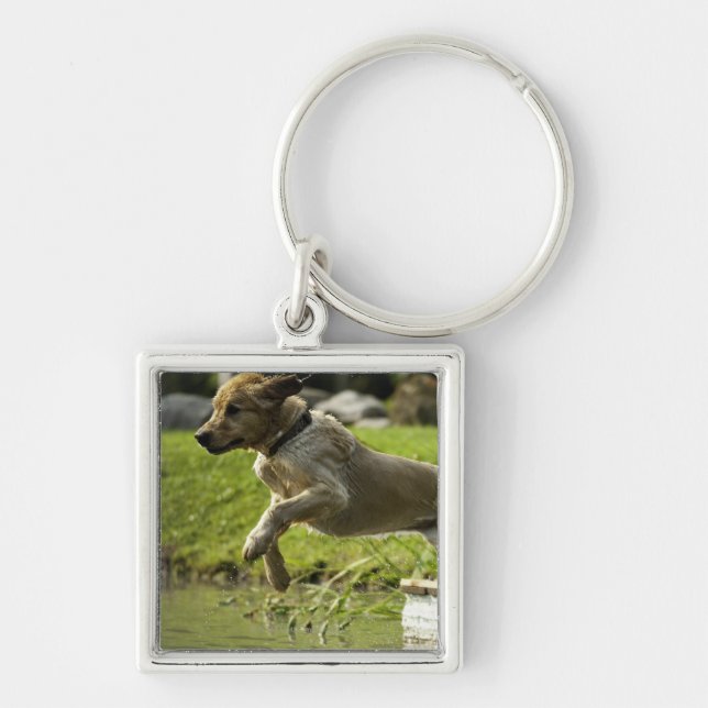 Porte-clés Le chien saute dans l'étang (Devant)