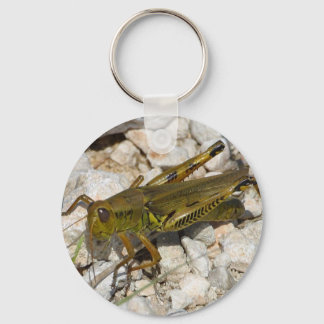 Porte-clés le Grand Grasshopper !