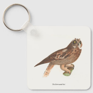 Porte-clés Le hibou à oreilles courtes (Otus palustris) New Y