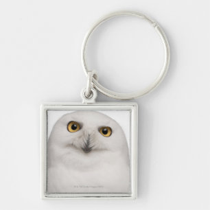 Porte-clés le hibou masculin de Milou (scandiacus de Bubo)
