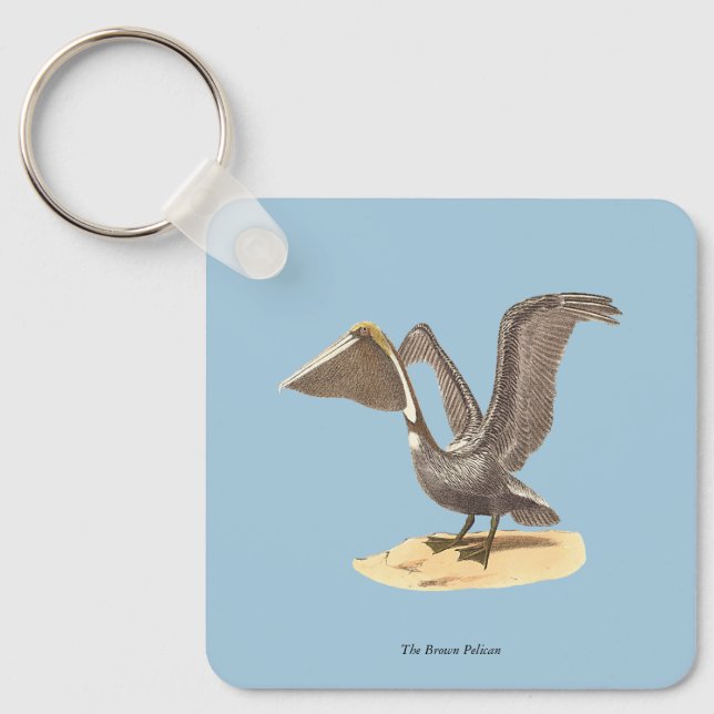 Porte-clés Le pélican Brown (Pelecanus occidentalis) NY Bird (Recto)