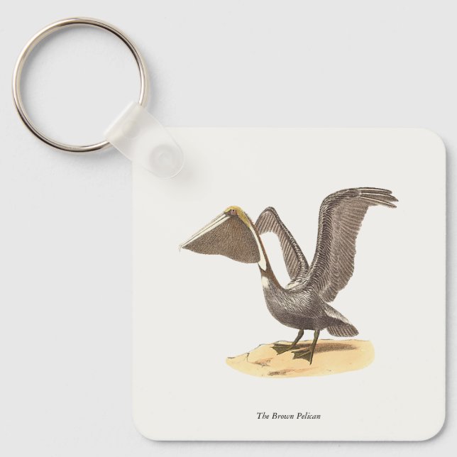 Porte-clés Le pélican Brown (Pelecanus occidentalis) NY Bird (Recto)