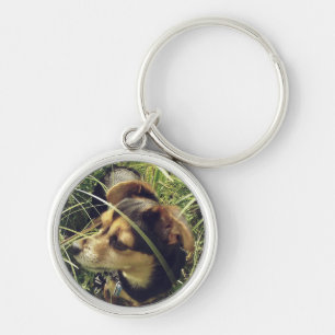 Porte-clés Le Petit Chihuahua Dans L'Herbe