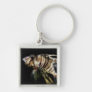 Porte-clés Le poisson-Lion