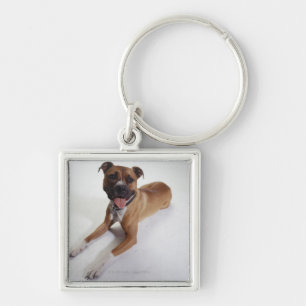 Porte-clés Le Staffordshire Terrier américain se couchant,