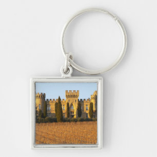 Porte-clés Le vignoble avec les vignes de syrah et le châtea