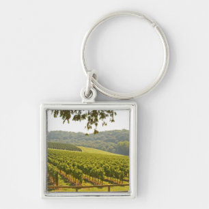 Porte-clés Le vignoble et une vallée avec une forêt -
