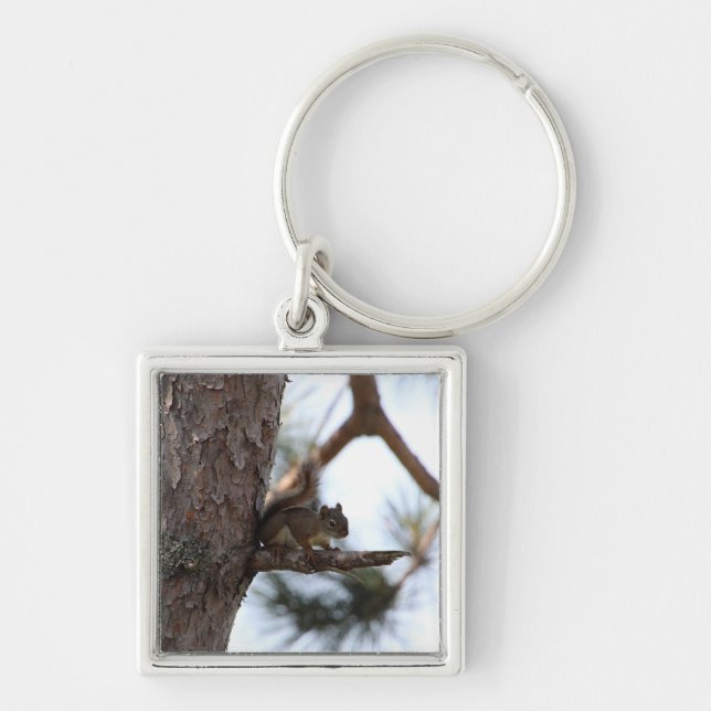 Porte-clés L'écureuil dans un arbre à pins (Devant)