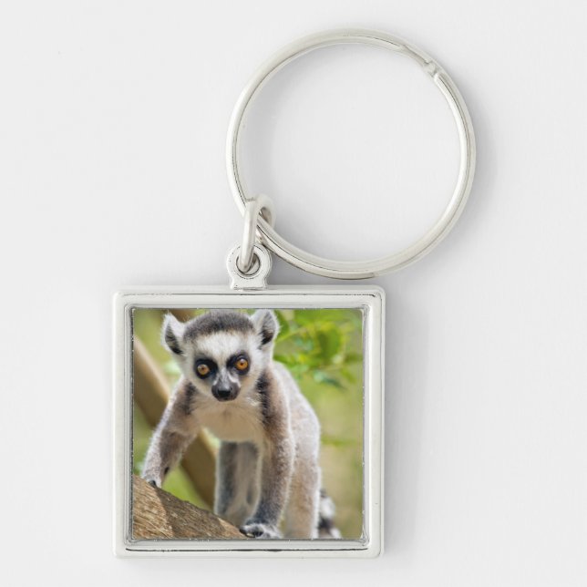 Porte-clés Lemur de bébé (Devant)