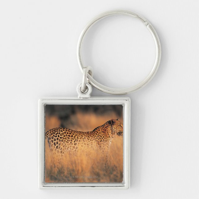 Porte-clés Léopard (pardus de Panthera) (Devant)