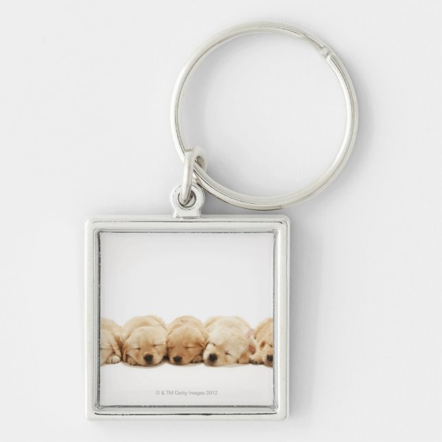 Porte-clés Les chiots du golden retriever (Devant)