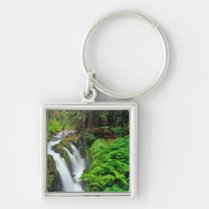 Porte-clés Les chutes de Sol Duc dans le parc national Olympi