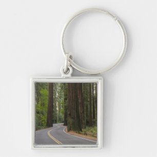 Porte-clés Les Etats-Unis, la Californie, route par la forêt