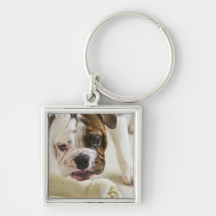 Porte-clés Les Etats-Unis, New Jersey, Jersey City, chiot