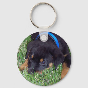 Porte-clés les petits de rottweiler.