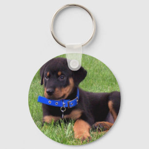 Porte-clés les petits de rottweiler.