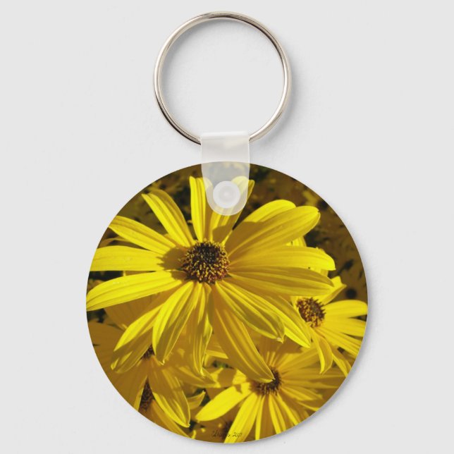 Porte-clés Les tournesols au zoo (Recto)