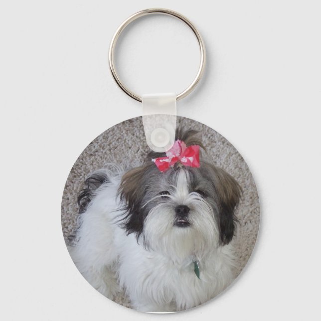 Porte-clés Lhasa Apso Porte - clé (Recto)