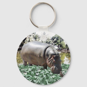 Porte-clés L'Hippo Et L'Oiseau