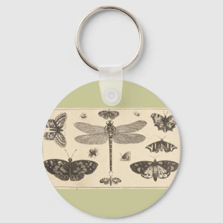 Porte-clés libellule, coccinelle et papillons