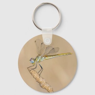Porte-clés Libellule Skimmer Femelle Insecte (CC BY 4.0) Keyc