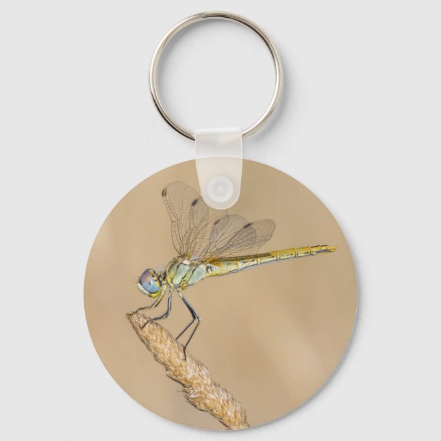 Porte-clés Libellule Skimmer Femelle Insecte (CC BY 4.0) Keyc (Recto)
