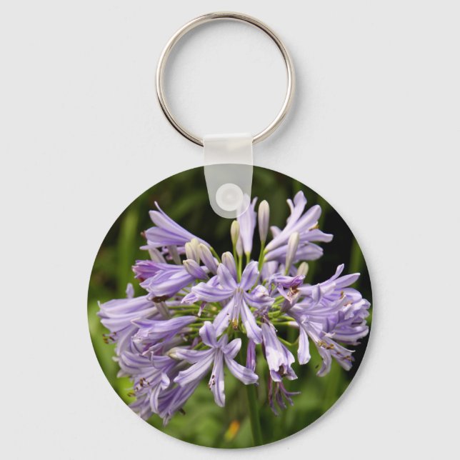 Porte-clés Lily du Porte - clé du Nil (Recto)