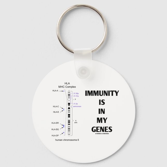 Porte-clés L'Immunité Est Dans Mes Gènes (Immunologie Chromos (Recto)