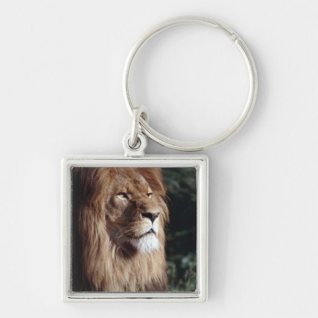 Porte-clés lion (Devant)