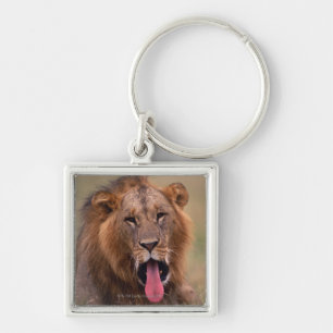 Porte-clés Lion 2