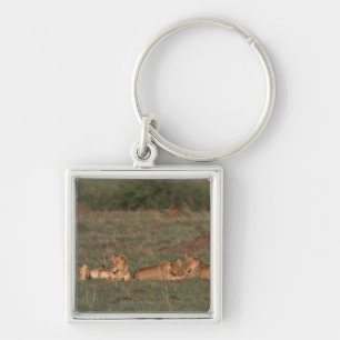 Porte-clés Lion 4