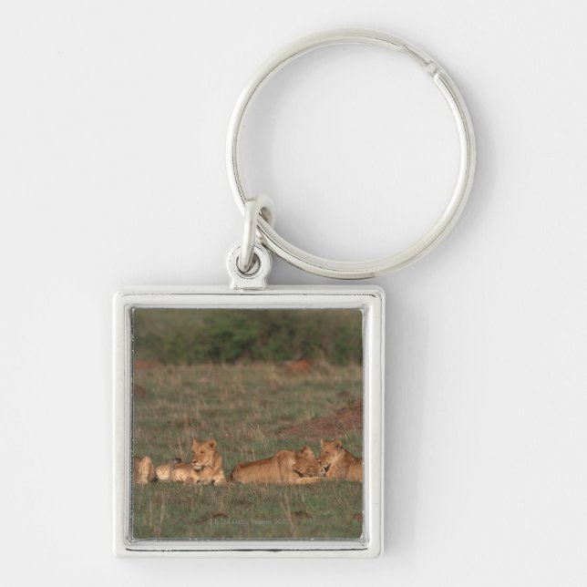 Porte-clés Lion 4 (Devant)
