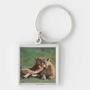 Porte-clés Lion 5