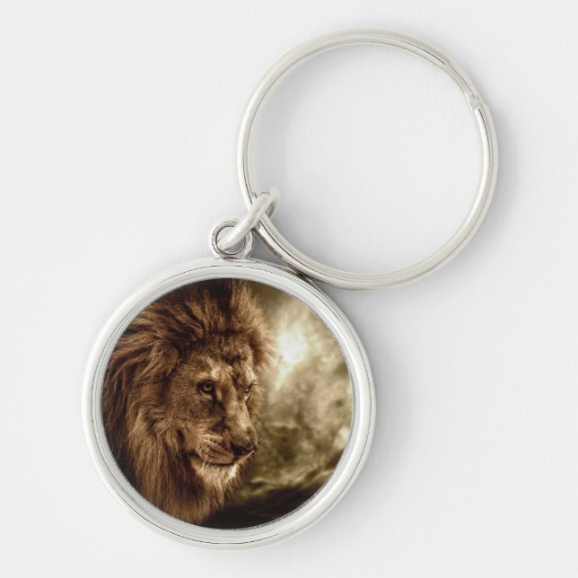 Porte-clés Lion contre le ciel orageux (Devant)